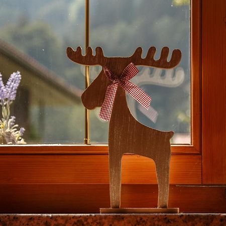 Montafon Alpen Chalet 판단츠 외부 사진